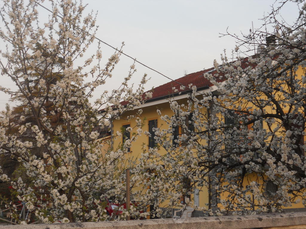 B&B Pervinca Rocca Grimalda Bagian luar foto