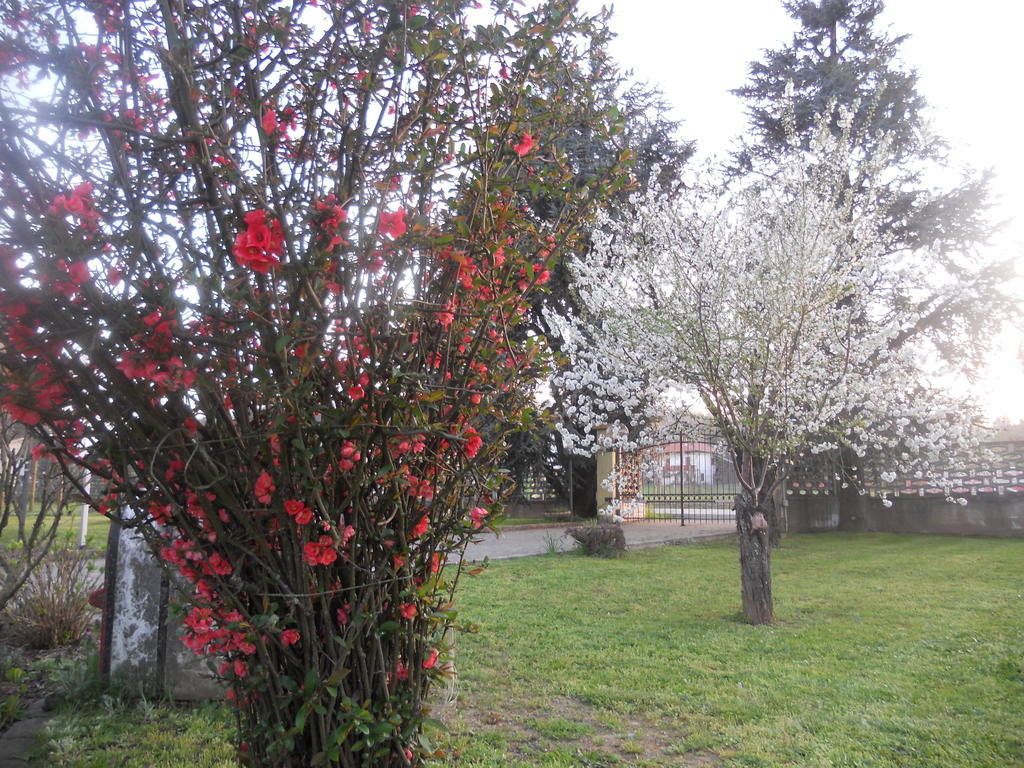 B&B Pervinca Rocca Grimalda Bagian luar foto