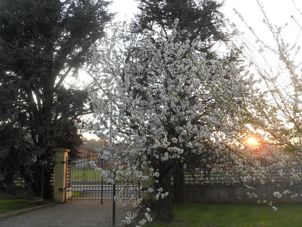 B&B Pervinca Rocca Grimalda Bagian luar foto