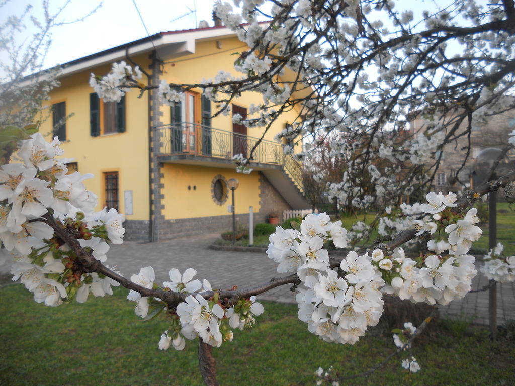 B&B Pervinca Rocca Grimalda Bagian luar foto